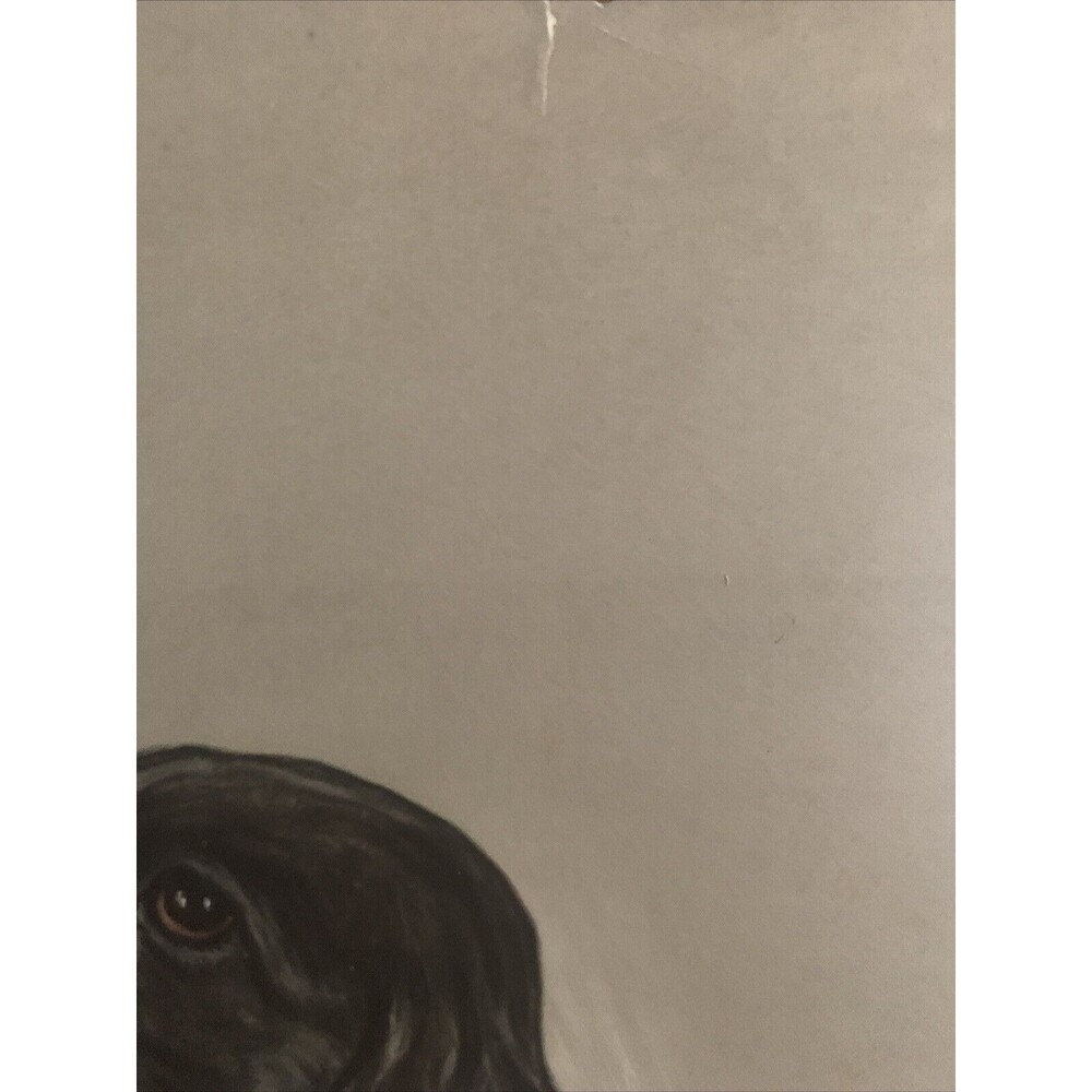 Gladys Emerson Cook lot of five vintage identical cocker spaniel . Resellers - Picture 3 of 10